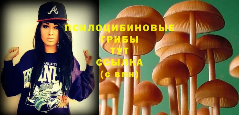 Галлюциногенные грибы Magic Shrooms  Невельск 